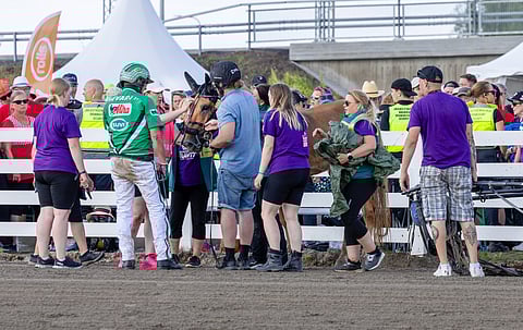 Välkker nousi Kuninkuusravien Pikkukunkun haaverin jälkeen omin jaloin pystyyn. Juuso Kangas ja Ari Moilanen toimihenkilöiden kanssa hevosen ympärillä.