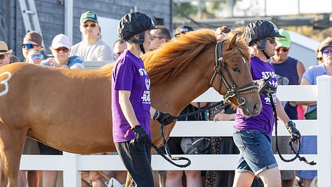 Ritu Railakas huutokaupattiin Rovaniemelle. Sen ostivat Kari ja Ahti Salmela.