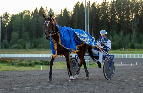 Jokimaa Jackpot on ollut Pekka Korvelle hyvä kisa (kaksi voittoa kahdella yrittämällä).