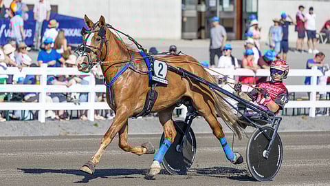 Santtu Raitala, Stallone