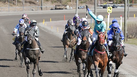 Monté Miisa Pulkkanen Tima's Miracle