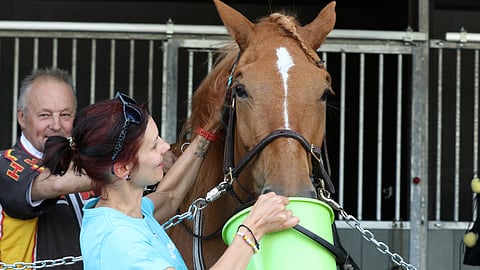 Terhi Kotilainen juottaa Lumi-Oosaa Kouvolan Kuninkuusraveissa tittelin ratkettua. Valmentaja Harri Kotilainen on taustalla.