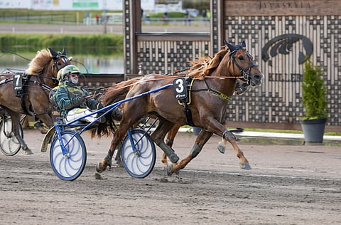 Weikko jyräsi vakuuttavasti Derbyn karsinnassa Hannu Torvisen ohjastamana.