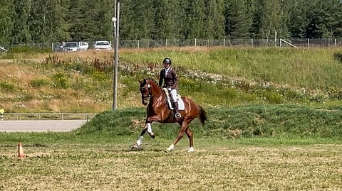 Saima Alitalo esittelee viikonloppuna Laatuarvostelussa neljä nuorta hevosta. Kuvassa Radiates A.