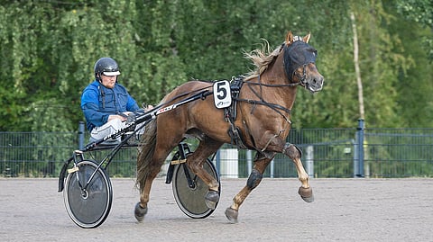 Heikki Hoffren ja Häijymies on Derbyssä kisan jokerikortti. Hoffren on Lipassin kanssa pystynyt valloittamaan Kriteriumin, joten hän on ennenkin ollut kovassa paikassa.