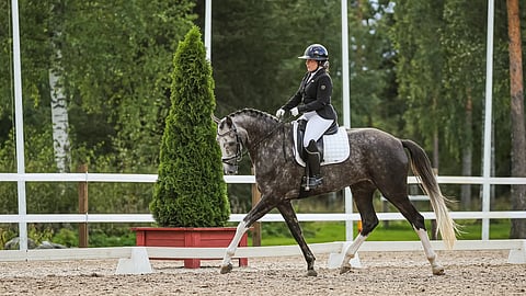 Kati Nuutisen So Dazzling Diamond voitti askellajiratsujen laatuarvostelun.