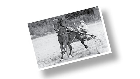 Kuva-arvoitus – tunnistatko kuvan hevosen ja ihmisen?