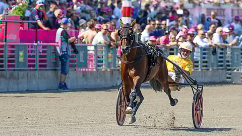Colibri Jet ja Alessandro Gocciadoro