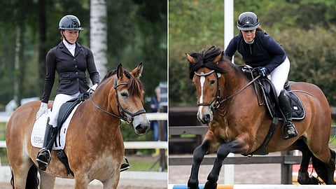 Omistajat ovat kiinnittäneet huomiota erityisesti ratsujen emälinjaan. Kuvassa vasemmalla Kyrö ja Kyrön Lempi, oikealla Haukilehto ja Ypäjä Rokki.