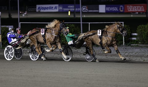 Ravisävelen löytäneen Constan uran kolmas voitto tuli makeaan paikkaan.