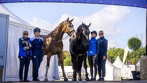 Ermelon paratiimiin kuuluvat Janne Bergh, Jonna Aaltonen, Laxton For U, Goldprinz, Laura Kangasniemi ja Tanja Takkula.