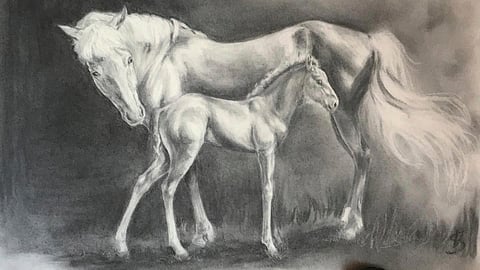 Varpu Säteri on tehnyt kymmeniä piirroksia radoilla kilpailleista hevosista. Kuvassa Emman Taika ja Taivartti.
