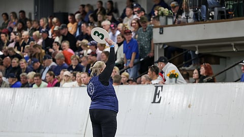 Kauppa kävi Ypäjän huutokaupassa, mutta hintakehitys jätti toivomisen varaa.