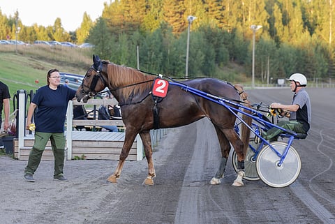Henkinen oli omaa luokkaansa Villinmiehen Tammakilvan karsinnoissa.