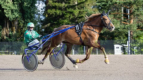 Henkinen, Ari Moilanen