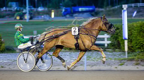 Consta voitti oman karsintansa.