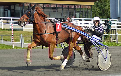 Oskari Punk ja Kalevi Punkki.