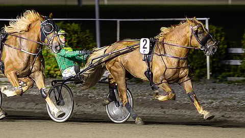 Consta piti karsinnassa rinnalla ravanneen Rebyytin varmasti kurissa. Juuso Nyströmin silmäterä lähtee ennätys alla lauantain loppukilpailuun.