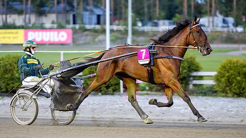 EL Narnia aloittaa finaalissa radalta yksi.