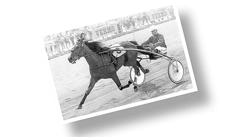 Ketkä ovat kuvassa?