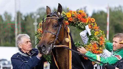 Romanov Comery seppelöitiin elokuussa Suomen Derbyn voittajaksi.
