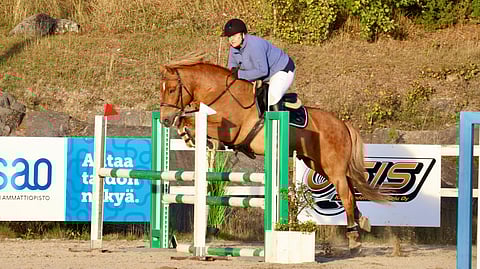 Kiuruveden kisasta tuli kallis treenireissu, vaikka hevonen hyppäsi hyvin.