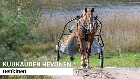 Henkinen kotimaisemissa Juvalla.