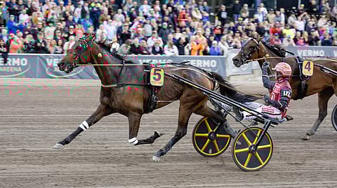 Romanov Comery, Santtu Raitala