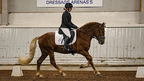 Metkuttaja TS:n esitti Ypäjällä Linda Kulmala.
