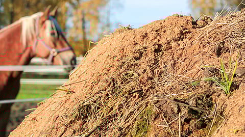 Lantalan tulisi olla käytännöllinen jokapäiväiseen arkeen, ja siihen on olemassa erilaisia vaihtoehtoja.