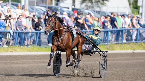 Massimo Hoist, Hannu Torvinen