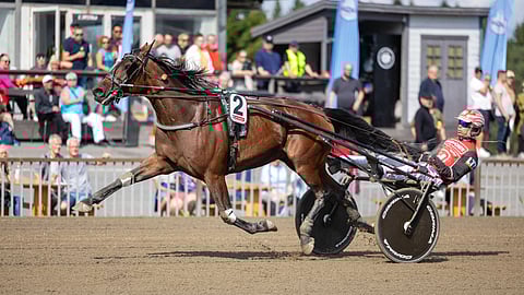 Marlon Boko, Santtu Raitala