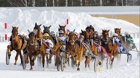 Kuvituskuva Joensuun ravit