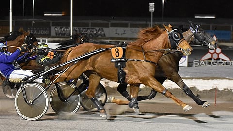 Double Trouble E P rattaillaan Jarmo Saarela.