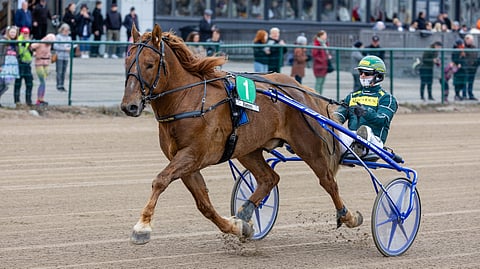 Siirin Valtsu, Hannu Torvinen