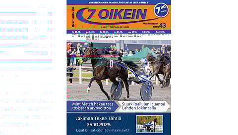 7 oikein -lehdessä julkaistaan Suomen totoravien käsiohjelmasivut vihjeineen ja tallikommentteineen torstaista seuraavaan keskiviikkoon sekä Ruotsin pääpelien käsiohjelmasivut torstaista maanantaihin.