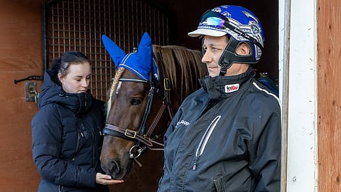 Petri Laine on raviharrastaja Orivedeltä, jonka tunnetuin valmennettava on ikäluokkatähti ja ravikuningas Parvelan Retu. Kasvattanut Siirin-hevosia. Tytär Ida Laine on sisaruksista vanhin, ja hän työskentelee Parvelan Hevostilalla. Hän on myös Parvelan hevosten oriinpitäjä. Heppa-järjestelmään Idan hoitohevosiksi on merkitty Siirin Valtsu ja Pörnä-Pate.