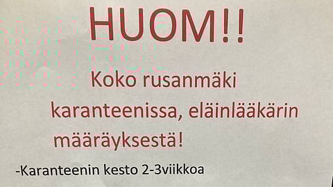 Ruskeasuon tallit karanteenissa herpesvirusepäilyn takia