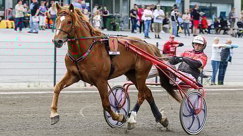 Vixeli, Tapio Perttunen
