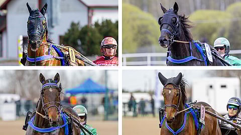 Main Stage, Combat Fighter, Dozen Of Oysters ja Goodwin Zet ovat lähteneet perjantaina 7. marraskuuta kohti Ranskaa.
