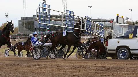 Kirjoittaja kokee ongelmalliseksi erityisesti spårtrappa-lähdöissä sen, että ilmoittautuminen ei ole tasapuolista. Monilla hevosilla on iso merkitys, pääseekö matkaan etu- vai takarivistä.