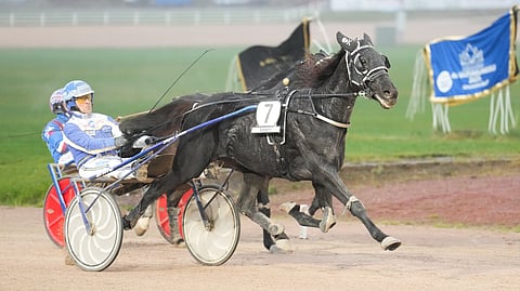 The Lost Battalion järjesti heti Toto75-kierroksen alkuun jättiyllätyksen suurkilpailussa.