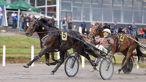 Jollywood, Veli-Pekka Toivanen