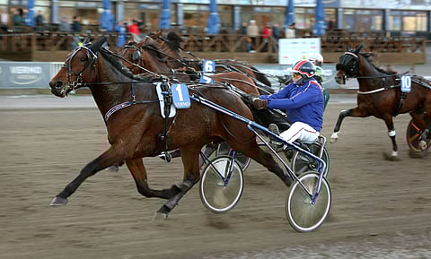 Risto Väreen ajama Curtis Loew voitti vajaa kuukausi sitten 43-kertoimisena yllättäjänä. Torstai-iltana se on lähtönsä suuri suosikki.