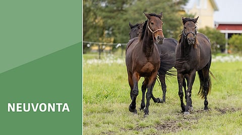 Vapaa liikkuminen on paras tapa ennaltaehkäistä lannehalvausta.