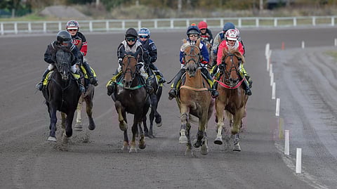 Monté-ohjastajan liian alhainen painoraja antaa väärän mallin lajiin tuleville nuorille, Monté Team Finland ry:n hallitus viestii.