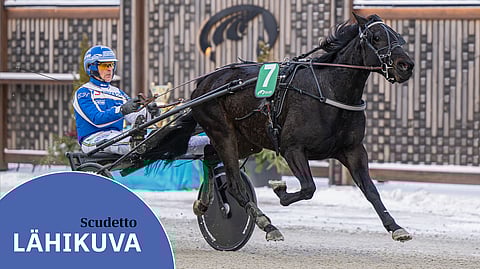 Esa Holopainen oli Kasvattajakruunussa räväkkänä alussa ja lopussa. Scudetto piti tyylikkäästi pintansa maaliin saakka.