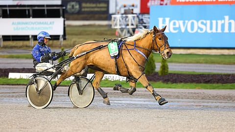 Ravit siirrettiin Mikkelistä Lahteen, ja Toviiri nappasi kirivoitolla Mikkelin kylmäveriliigan voiton.