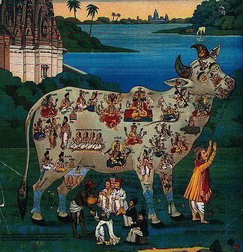 "The Cow with 84 deities" by Raja Ravi Varma. Photo: Wellcome Images / Wikimedia Commons