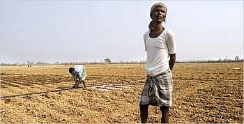 The Left Front and the rural bourgeoisie